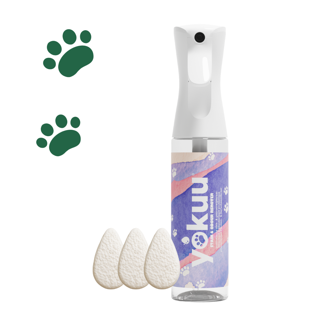 Stain & Odour Remover for Pets