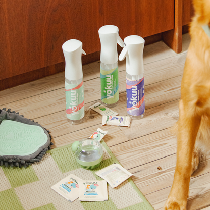 Pet Bundle