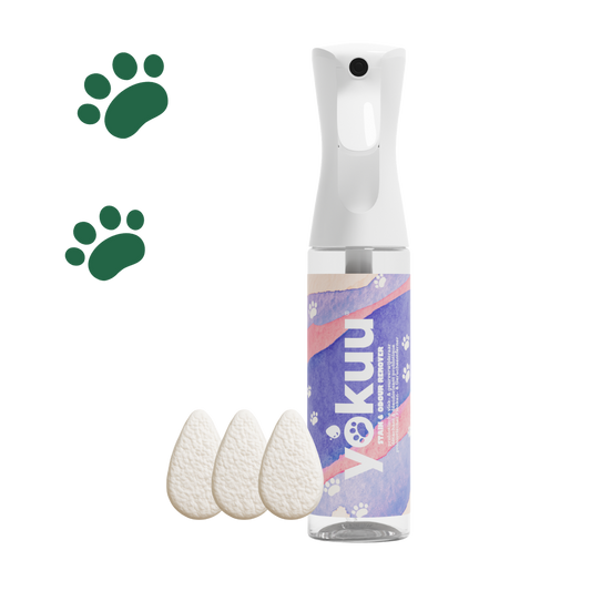Stain & Odour Remover for Pets