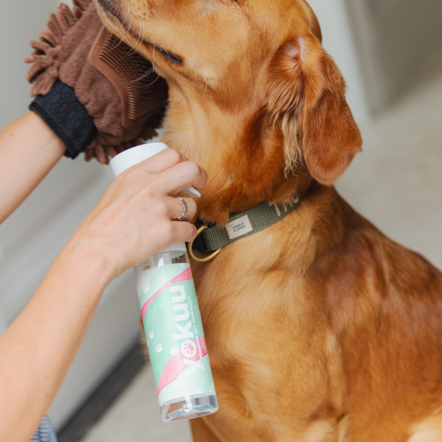 Pet Refresher